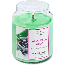 Soy scented candle Acai Palm Aloe Purple River 623 g