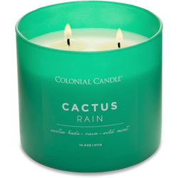 Bougie de soja parfumée en verre - Cactus Rain Colonial Candle