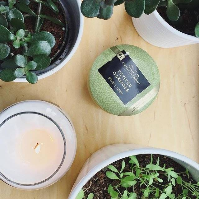 Bougie parfumée Candle-lite CLCo Candle Jar - No. 41 Vetiver Oakmoss