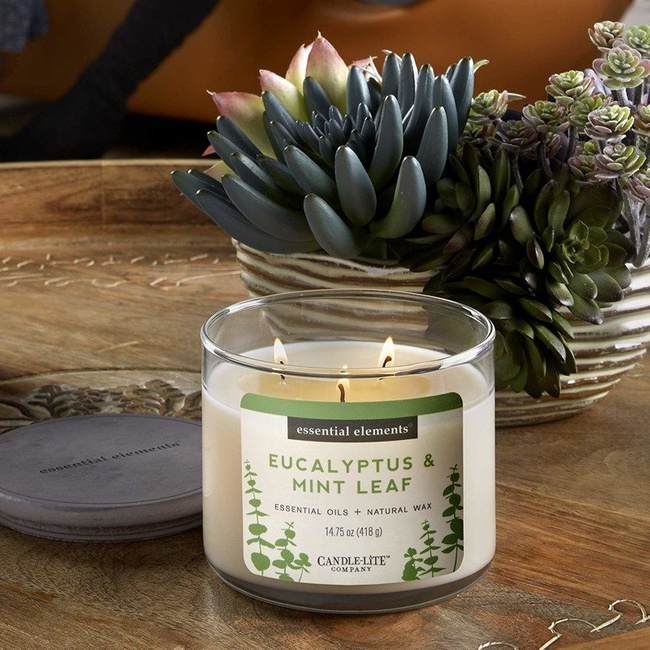 Natūralus žvakė kvepiantis su eteriniais aliejais Candle-lite Essential Elements - Eucalyptus Mint Leaf