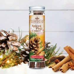 Scentsicles geurstokjes voor in de kerstboom 6 stuks - Spiced Pine Cones