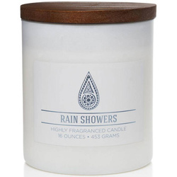 Colonial Candle Wellness large scented jar candle soy blend 16 oz 453 g - Rain Showers