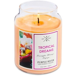 Candela di soia profumata in vetro frutti tropicali Tropical Dreams Purple River 623 g