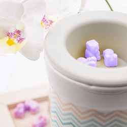 Electric wax burner Ted Friends - Boho