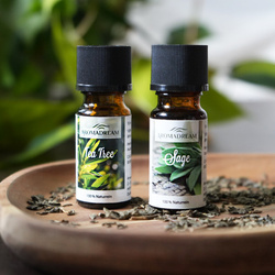 Salie olie etherisch natuurlijk Aroma Dream 10 ml - Sage
